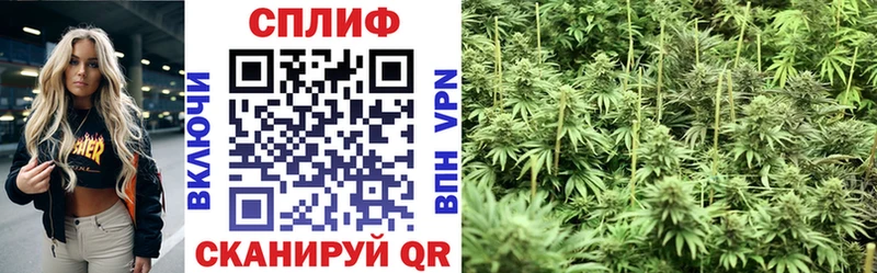 Бошки марихуана THC 21% Сельцо